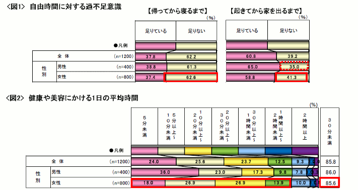 news_releace_20110113_1