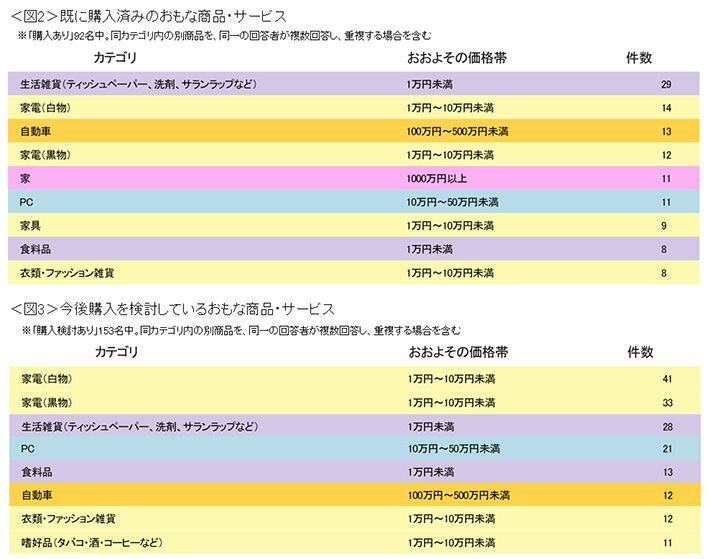 図2　既に購入済みのおもな商品・サービス、図3　今後購入を検討しているおもな商品・サービス