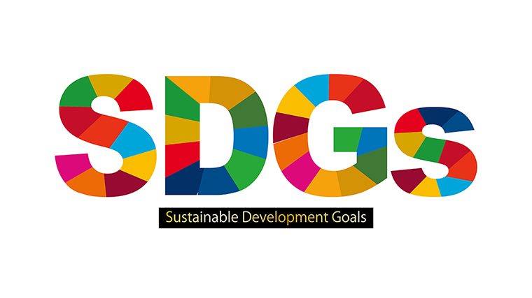 SDGsに関する調査（2021年5月）