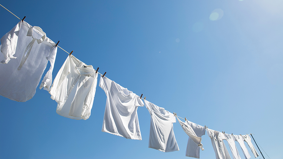 洗濯に関する調査（2022年）