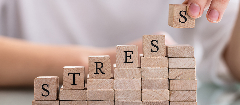 ストレス解消・発散には何が最適？30年間の時系列データ掲載
